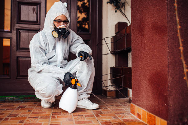 Reliable Cockroach Control contractor in Vivian, LA by Nex Pest Control